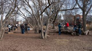 Wide of the unit set up among the fallen logs, the cast waiting along the trunk at the far side