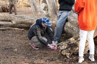 A crew member in a plaid shirt and bucket hat crouched at the foot of the log, setting the pink flower down on the mulch
