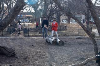 The two leads out on the fallen log, seen through the bare branches from across the lot