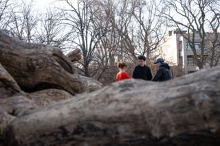 The director and cast talking the scene through, framed between the fallen logs