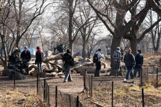 The unit spread across the wooded lot, camera at one side and the company gathered among the fallen logs